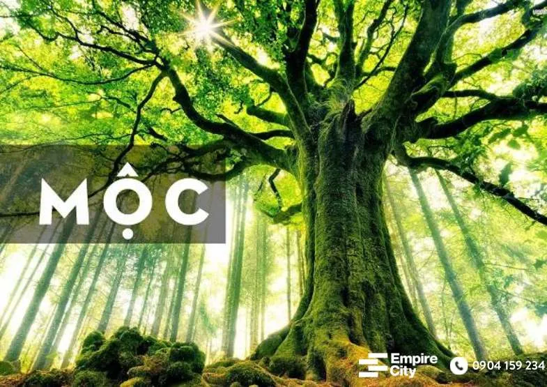 phong thủy căn hộ cho người mệnh mộc 1