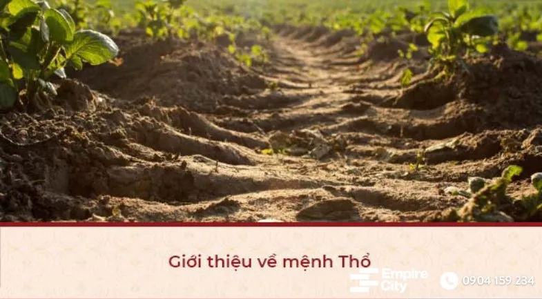 phong thủy căn hộ cho người mệnh thổ